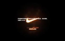 齐发国际在线娱乐-法国队在比赛中表现出色，轻松取胜，法国队coman