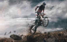 齐发国际在线娱乐-小牛击败凯尔特人，小唐奇+成新星苏博尼斯继续发力帮助球队